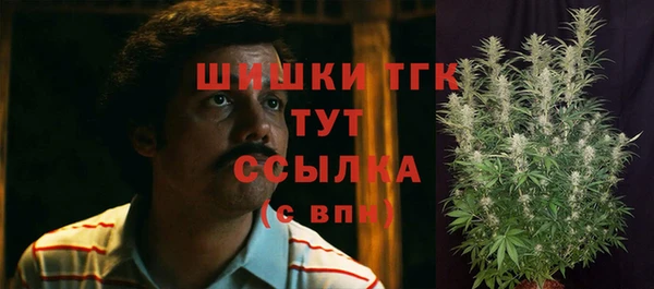 меф Нягань