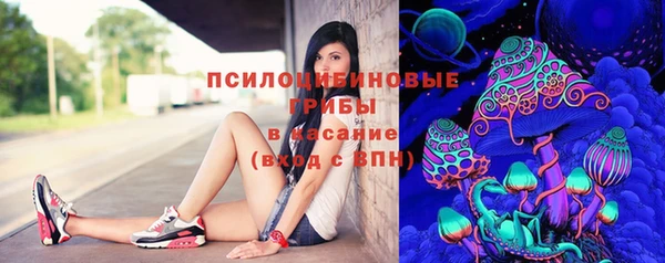 PSILOCYBIN Осташков
