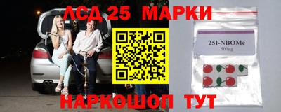 крисы Новозыбков