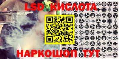 крисы Новозыбков