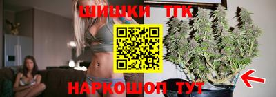 тгк Новодвинск