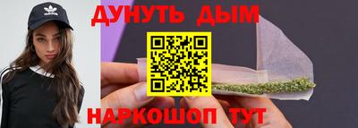 крисы Новозыбков
