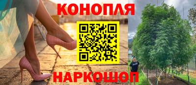 тгк Новодвинск