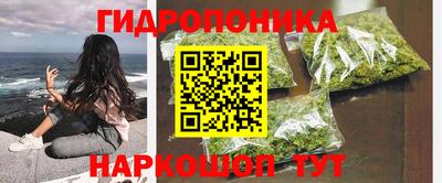 крисы Новозыбков