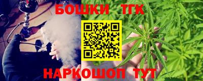 тгк Новодвинск