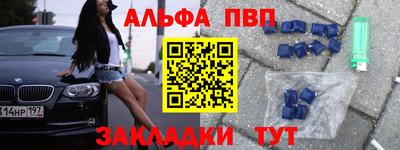 крисы Новозыбков