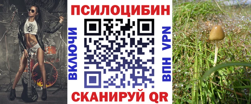 Галлюциногенные грибы Magic Shrooms omg как зайти Реутов цены