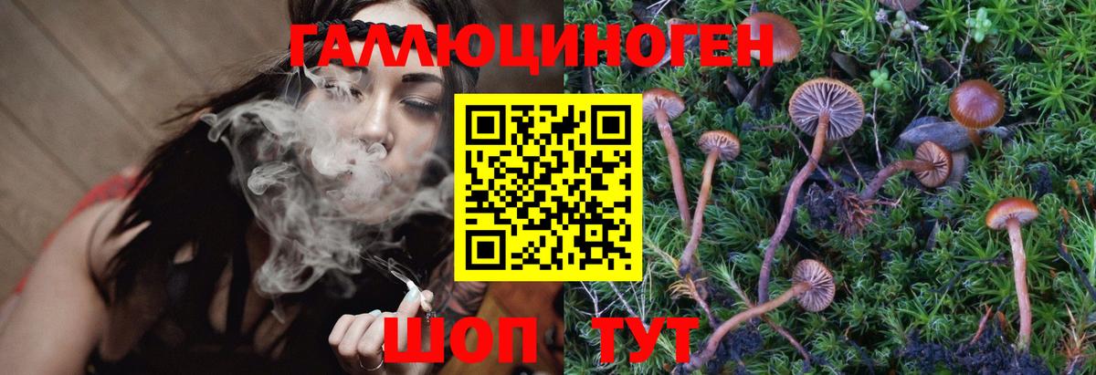 Галлюциногенные грибы Cubensis Реутов