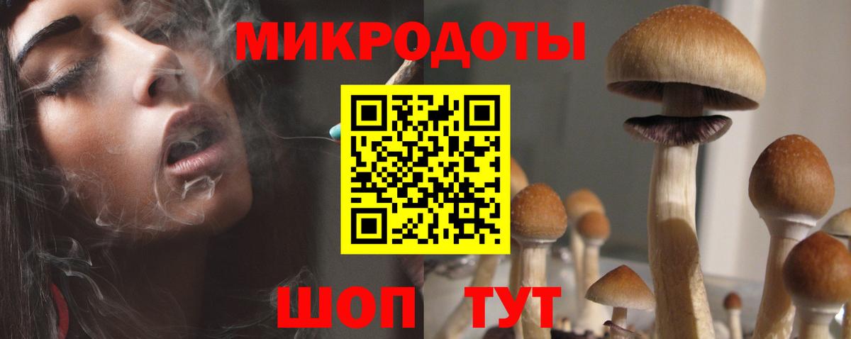 Галлюциногенные грибы Psilocybe  Вход с VPN  Реутов 