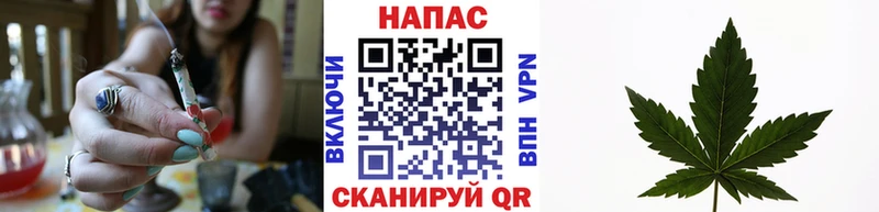 shop телеграм  Реутов  МАРИХУАНА ГИДРОПОН 